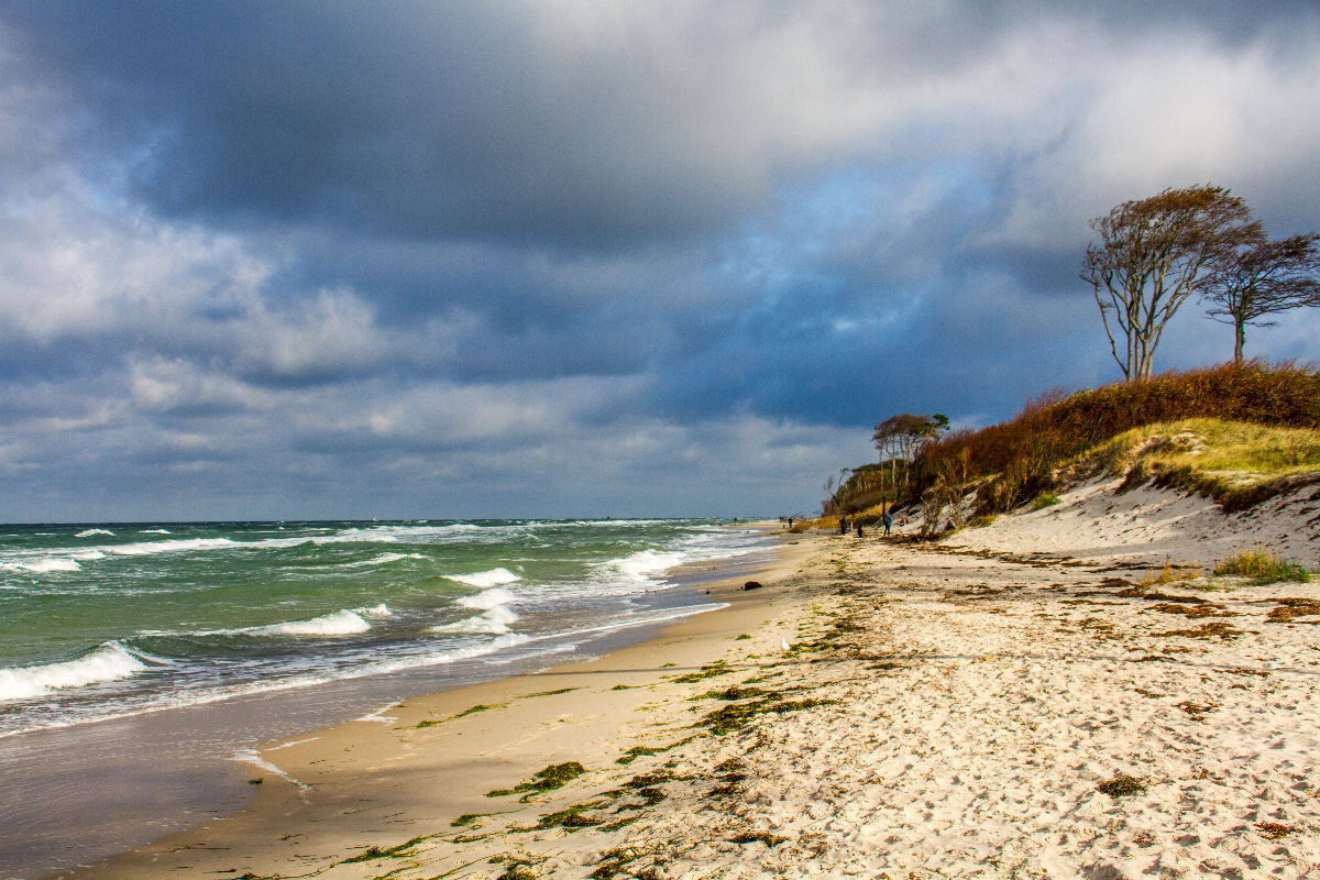 Der wilde Darßer Weststrand