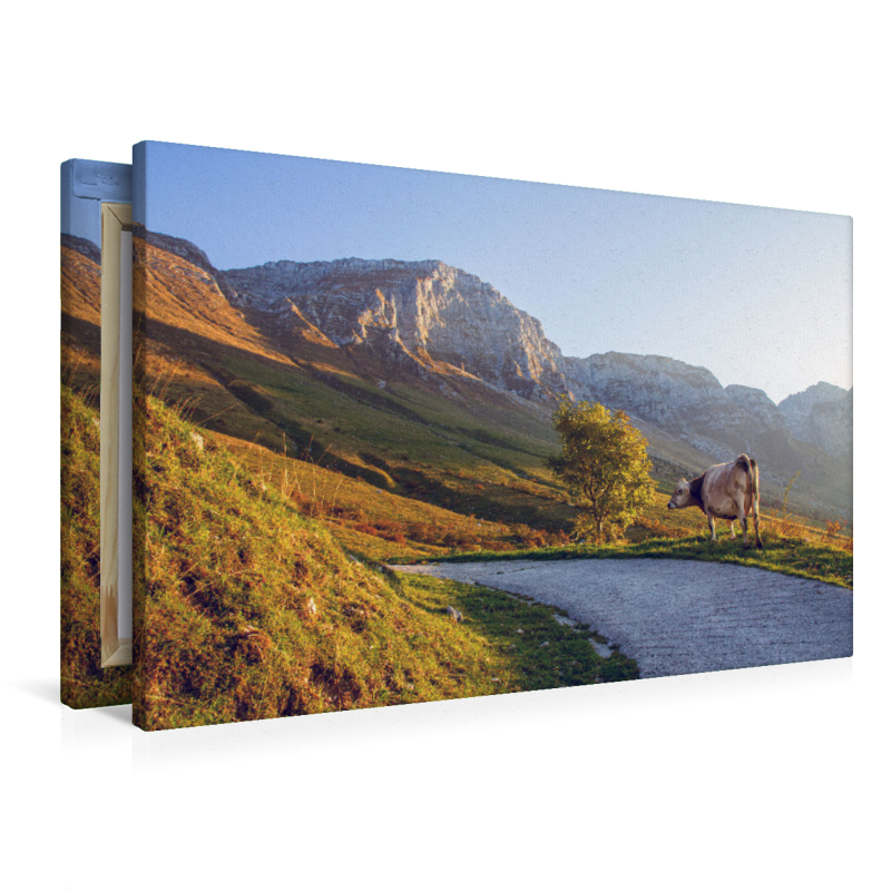 Einsame Landschaft mit Kuh am KRN