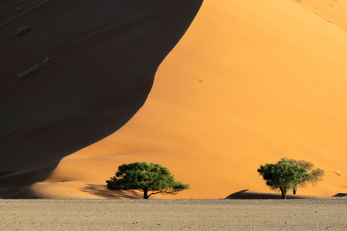 Sanddüne der Namib