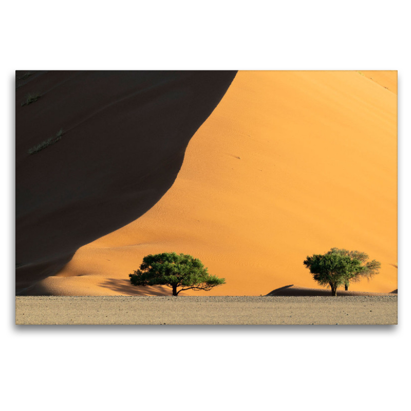 Sanddüne der Namib