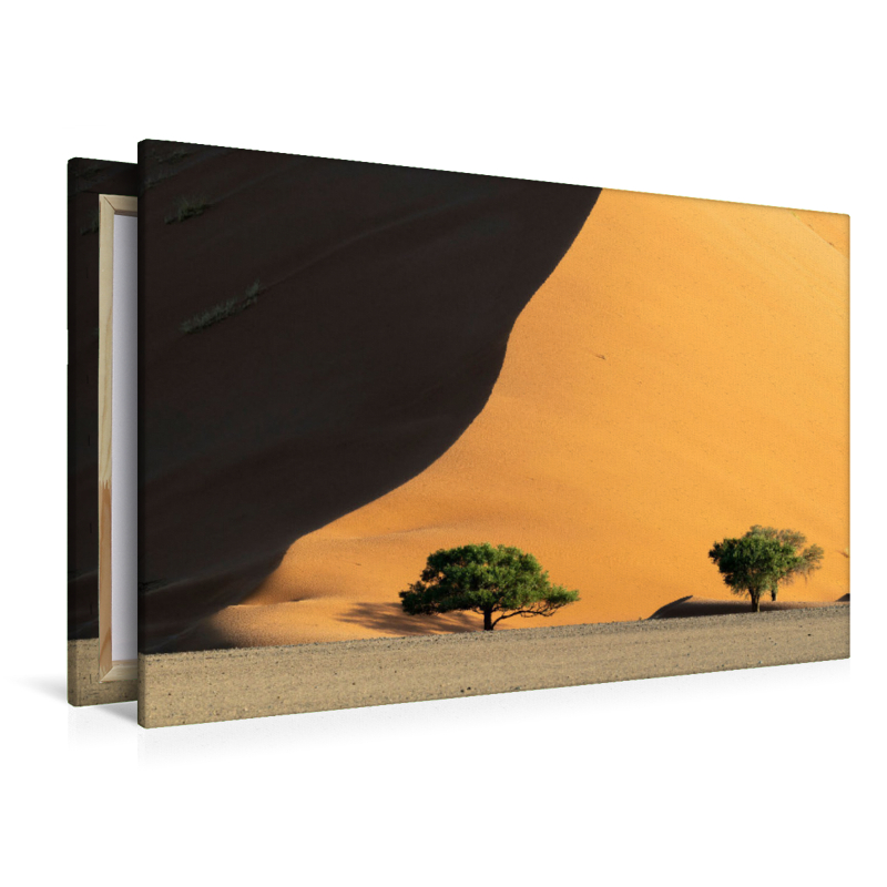 Sanddüne der Namib