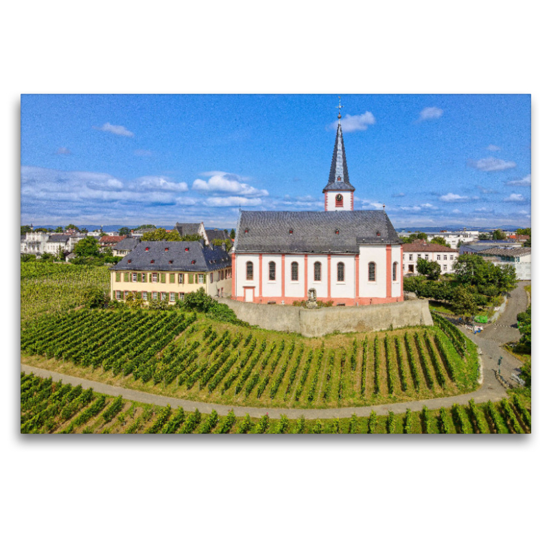 Die Pfarrkirche St. Peter und Paul, Wahrzeichen der Stadt Hochheim, einzige hessische spätbarocke Fresko-Kirche