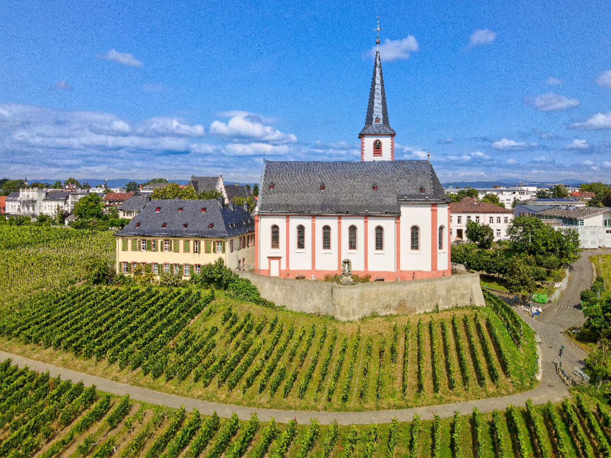 Die Pfarrkirche St. Peter und Paul, Wahrzeichen der Stadt Hochheim, einzige hessische spätbarocke Fresko-Kirche