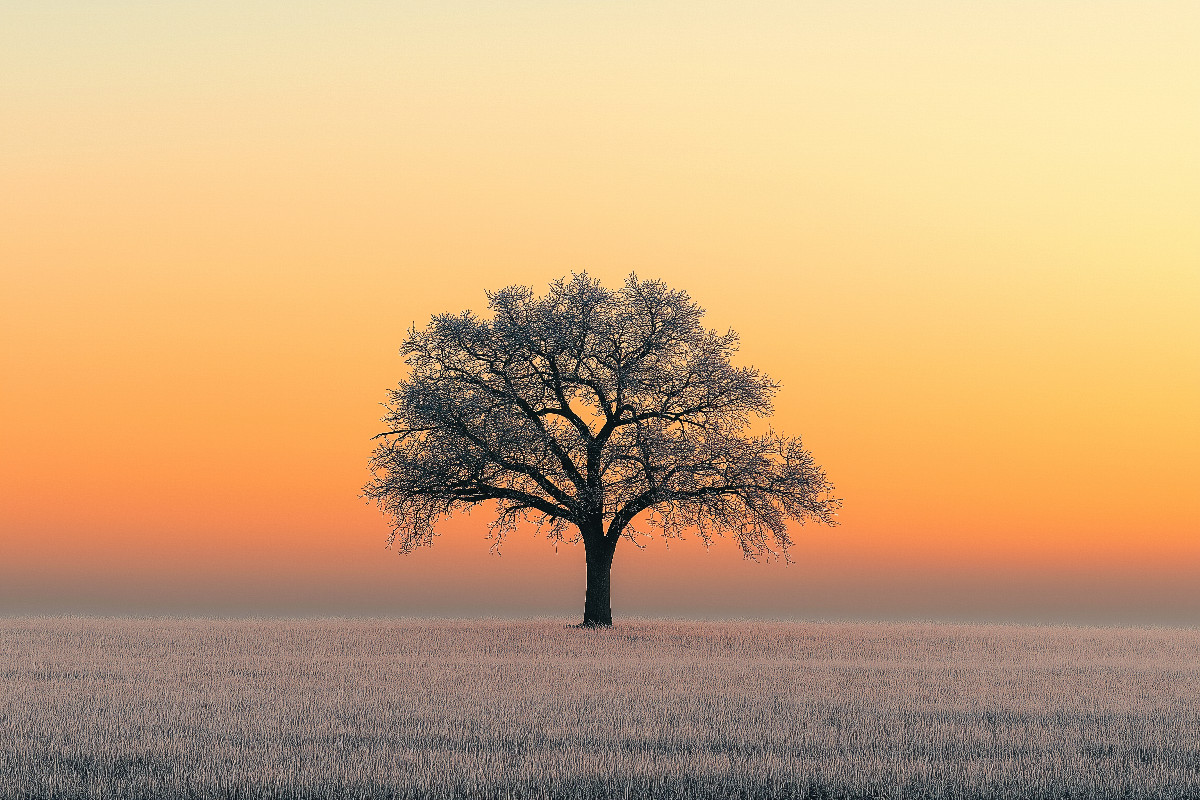 Ein Motiv aus dem Kalender Minimalistische Naturmomente – Ruhe und Schönheit in der Natur