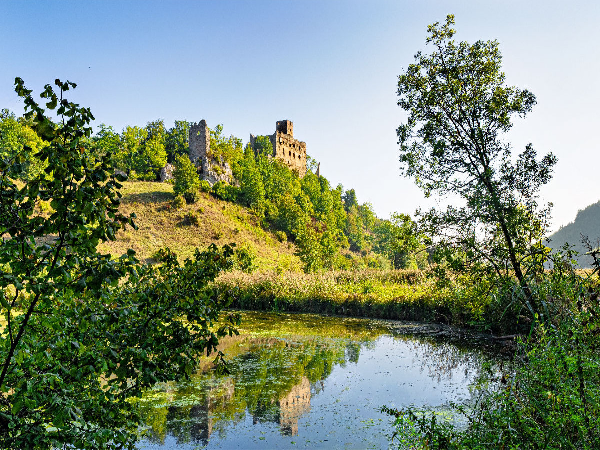 Burgruine Niederhaus