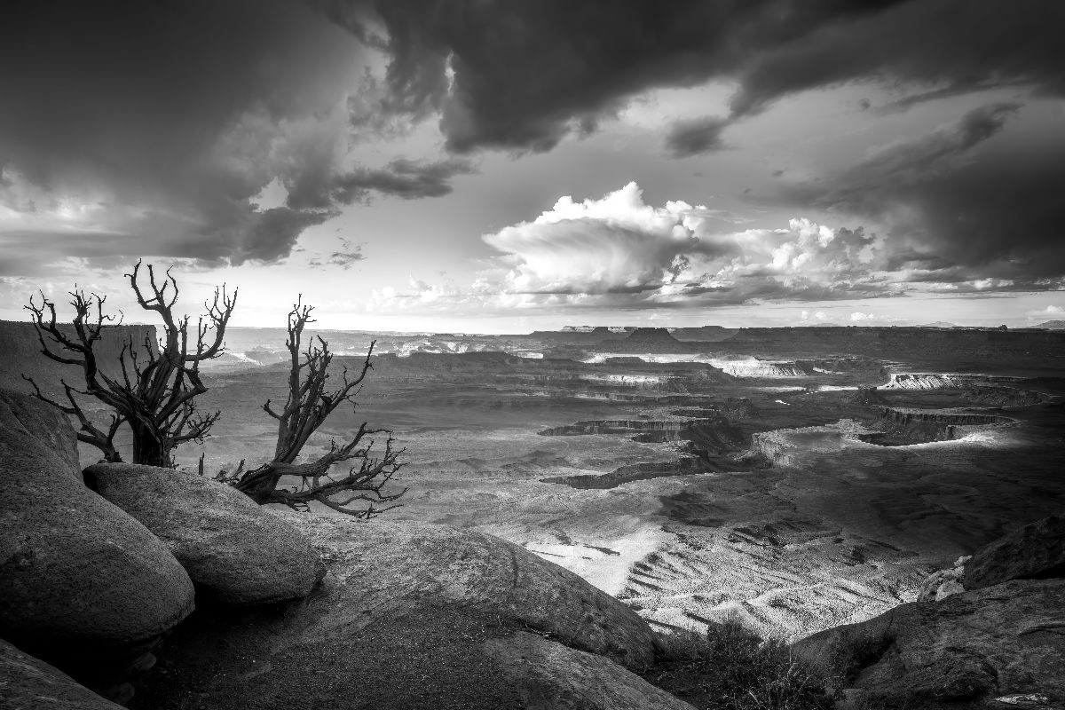 Canyonland Nationalpark