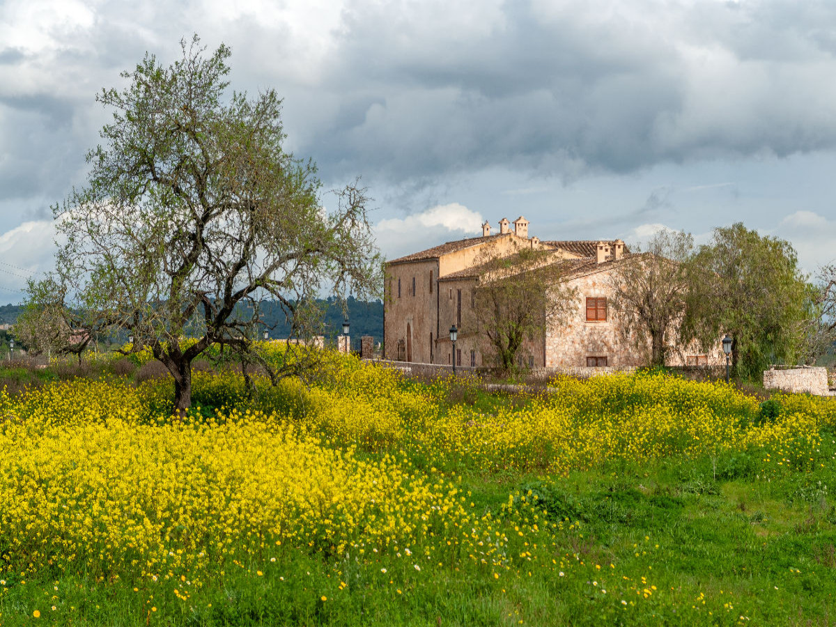 Frühling auf Mallorca