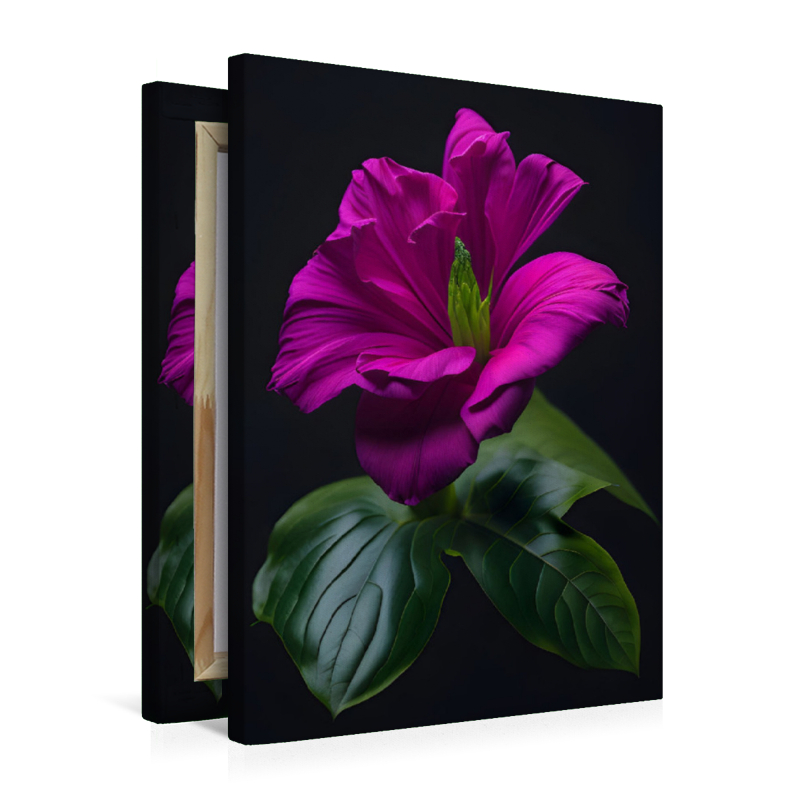 Traum in Magenta