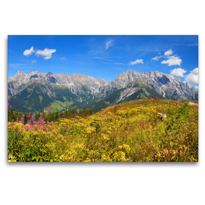 Schöne Blumenwiese auf der Steinbockalm