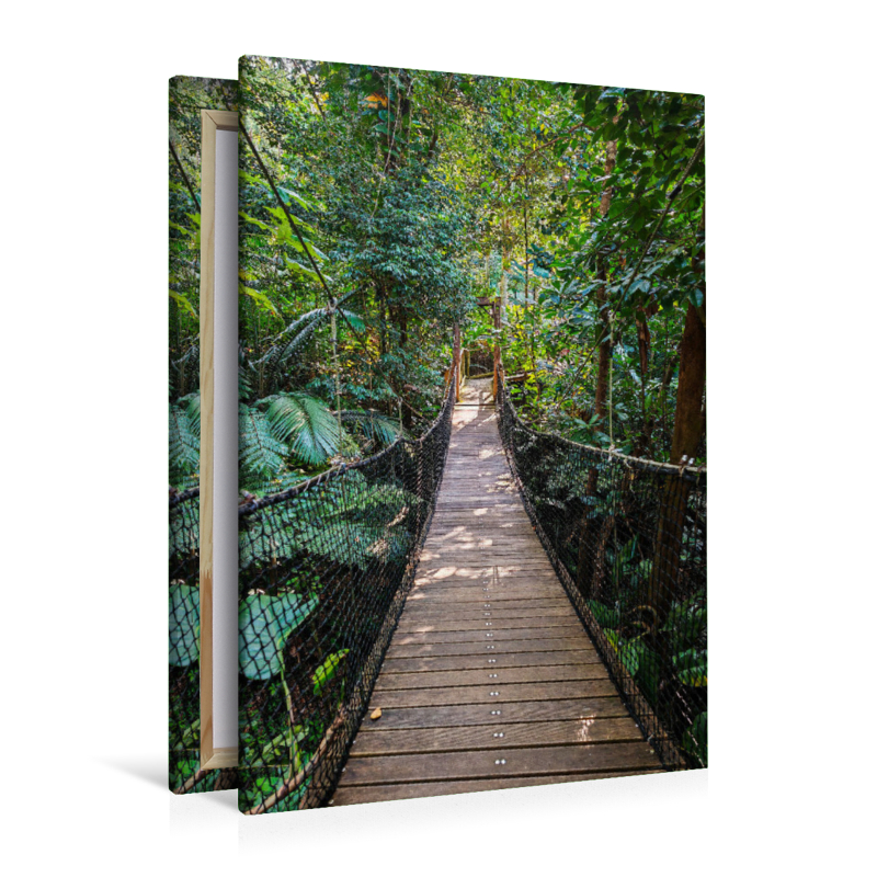 Hängebrücke im Jungle von Guadeloupe