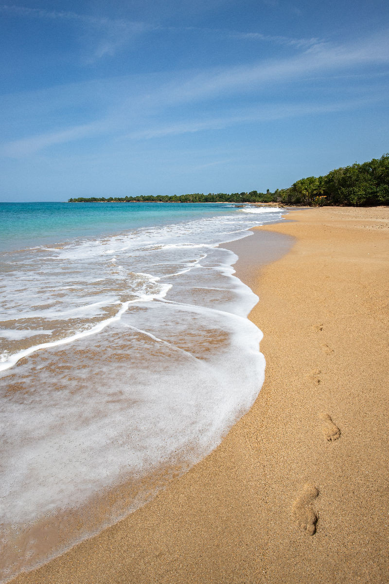 Plage de Clugny, Sandstrand auf Guadeloupe