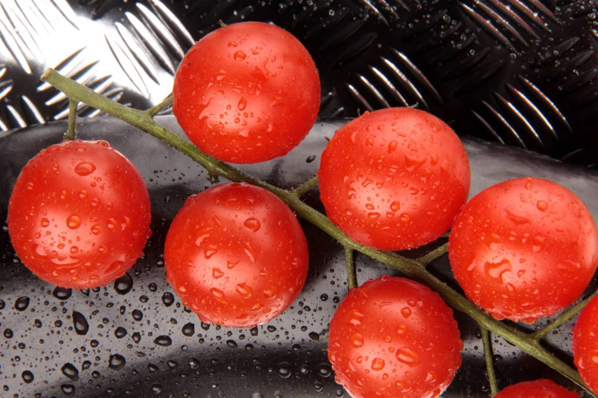 Rote Tomate auf schwarzer Aubergine