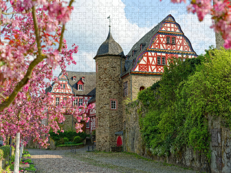 Spektakuläre Blütenpracht an der historischen Burganlage in Idstein