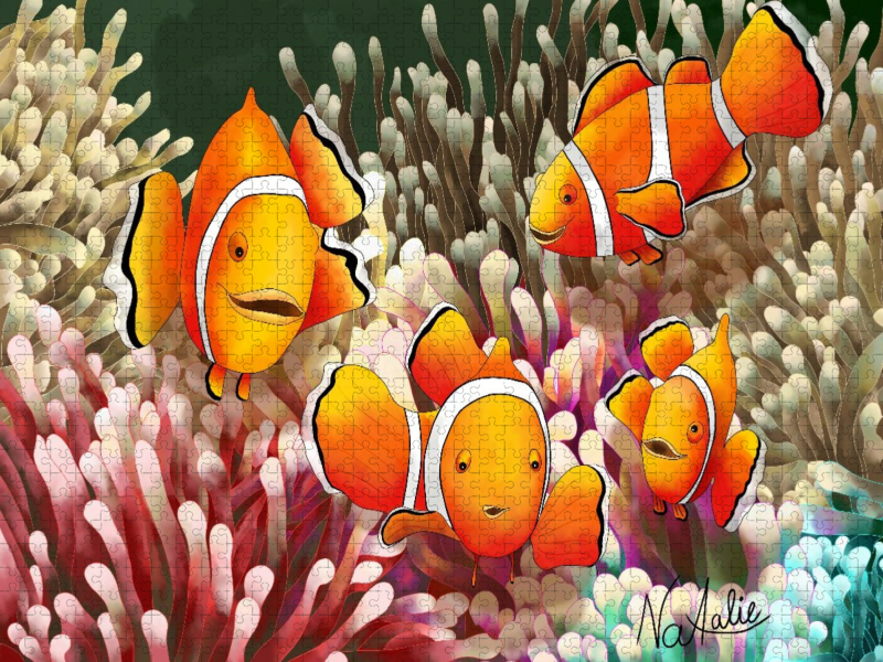 Bunte Clownfisch Entdecker