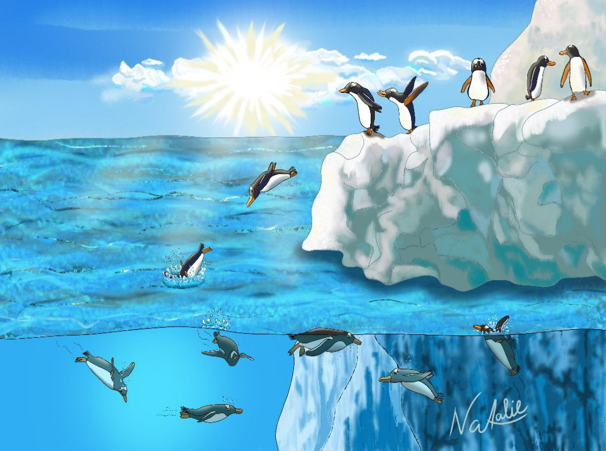 Pinguin Sprung, ein Hüpfer ins kalte Nass