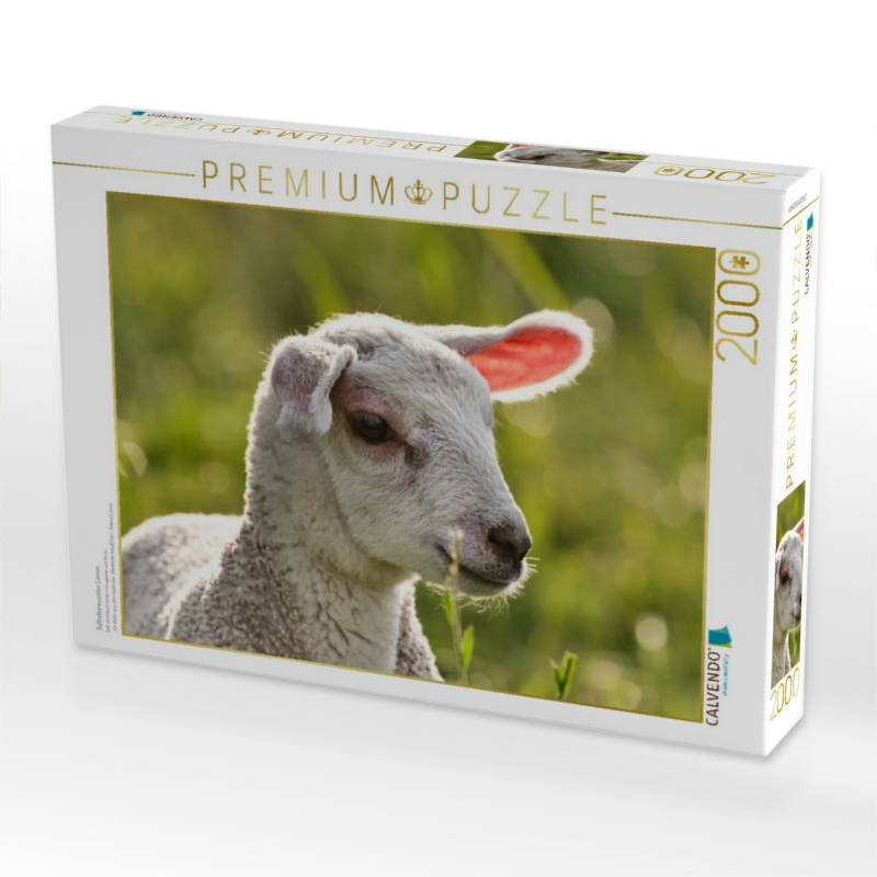 Selbstbewusstes Lamm