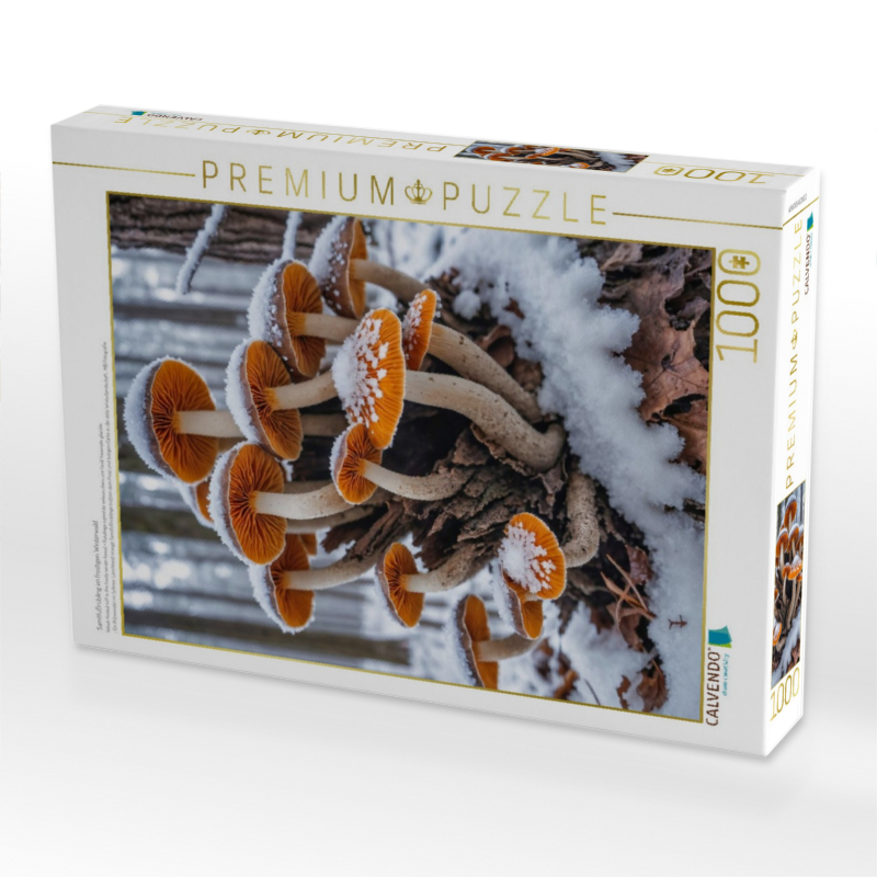Samtfußrübling im frostigen Winterwald