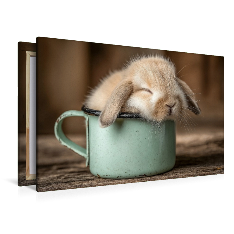 Schlafendes Häschen in Tasse - Gemütlichkeit in ihrer süßesten Form