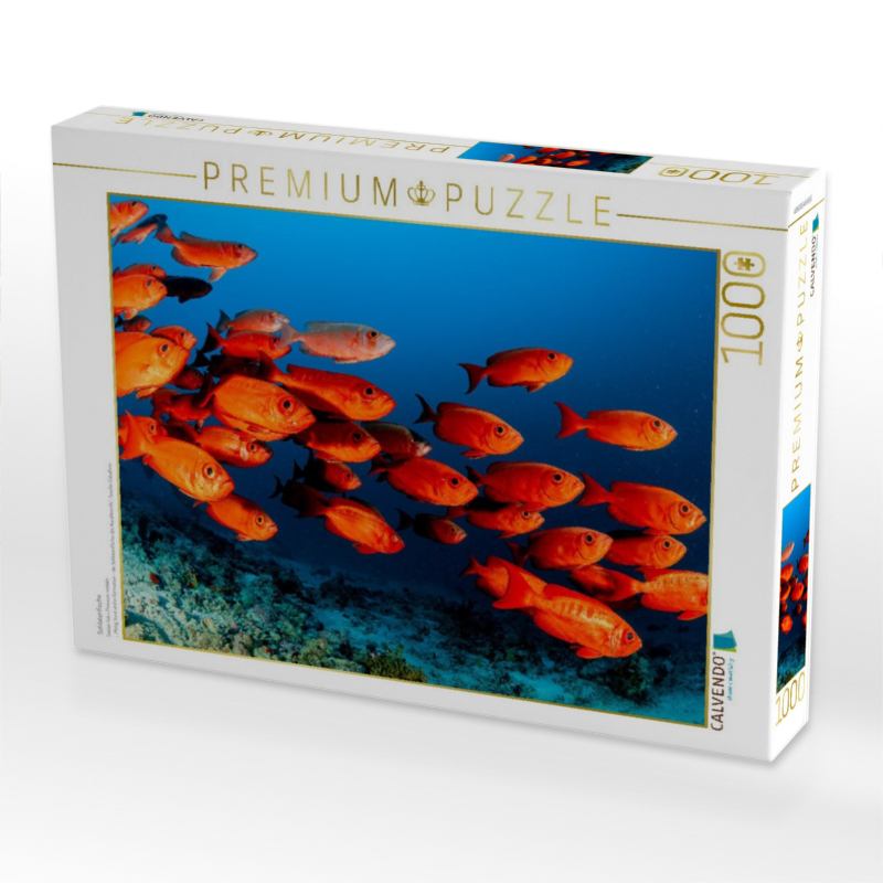 Soldatenfische