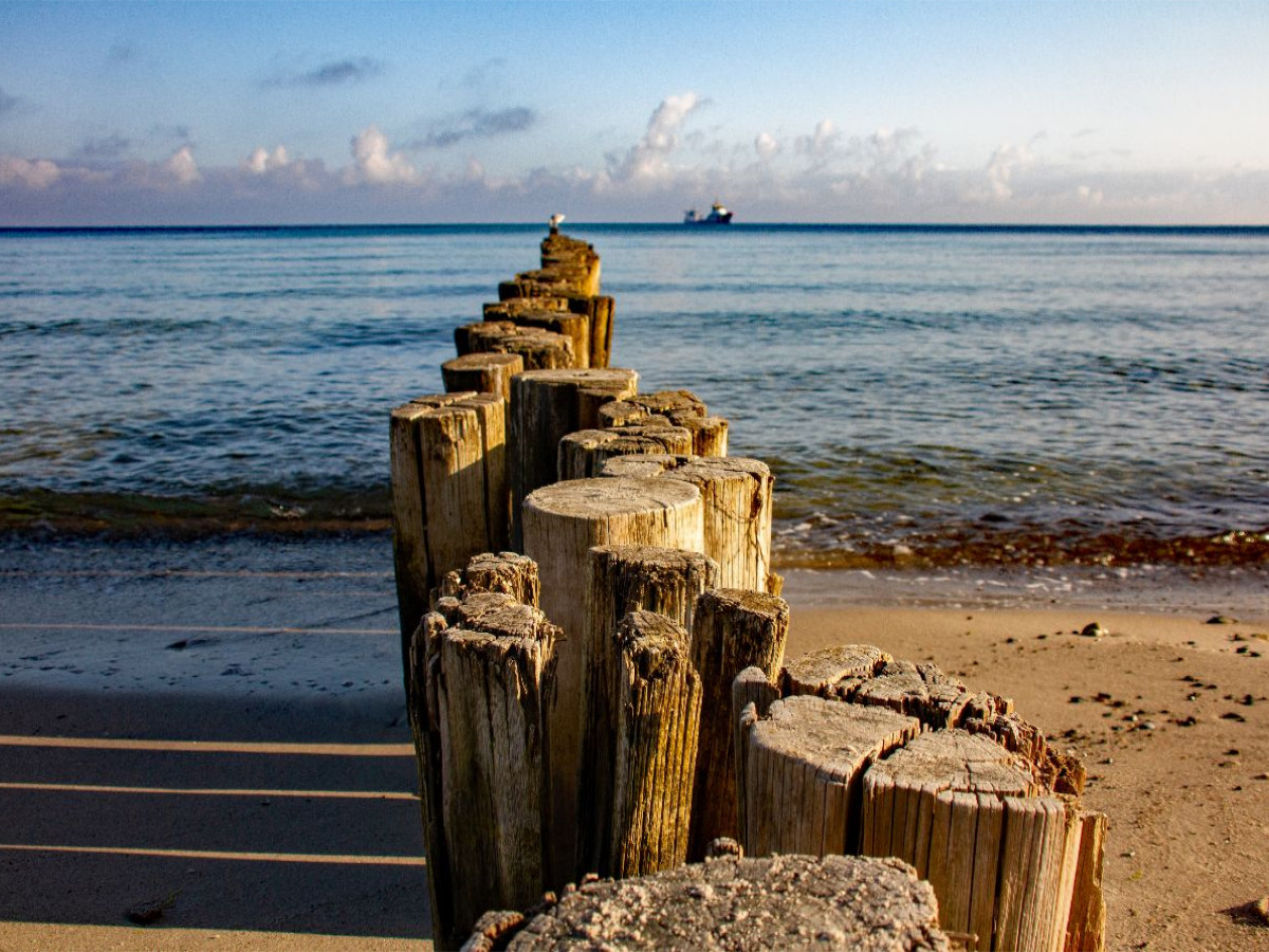 Buhnen im Ostseebad Kühlungsborn - Blick aufs Meer