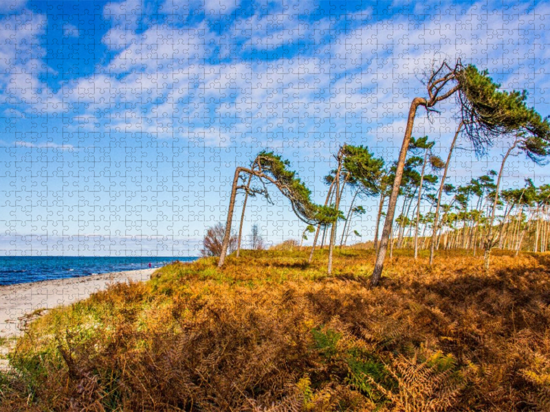 Am wilden Darßer Weststrand