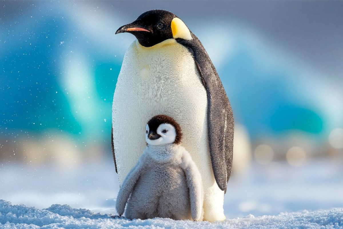 Ein Vater-Kind Ausflug