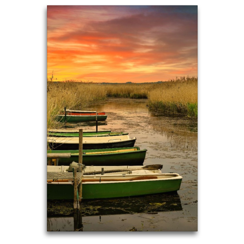 Federsee Ried