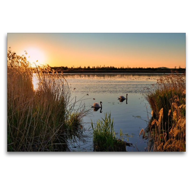 Federsee Ried