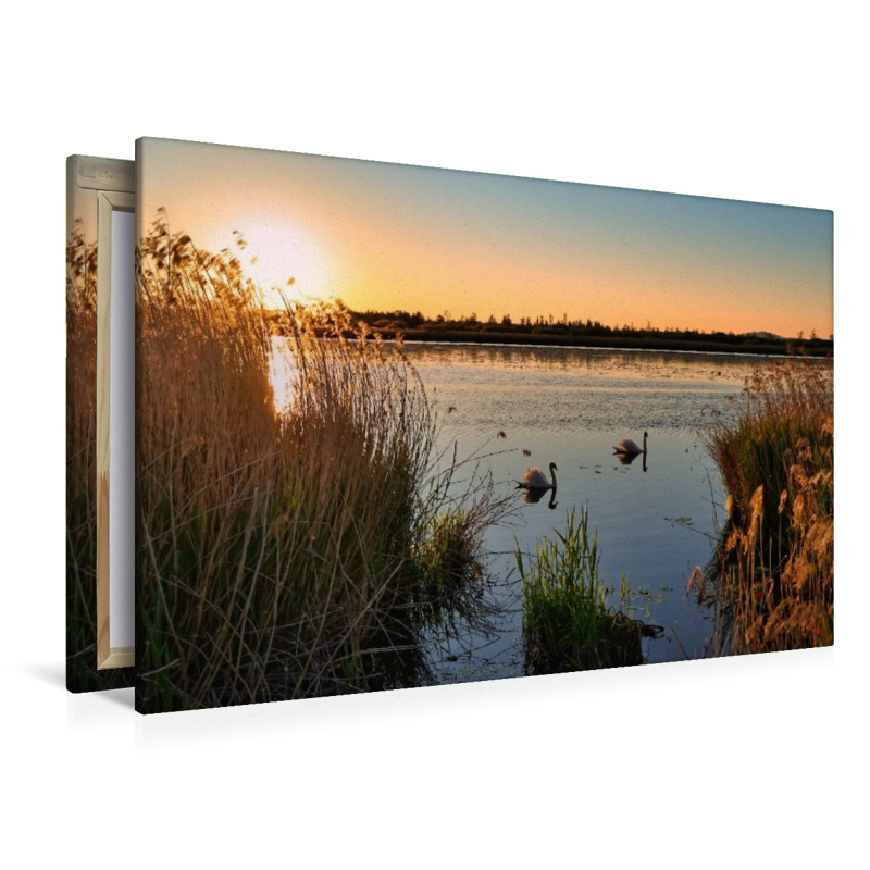 Federsee Ried