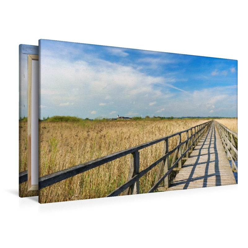 Federsee Ried