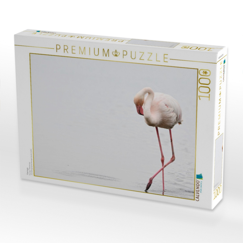 Flamingo