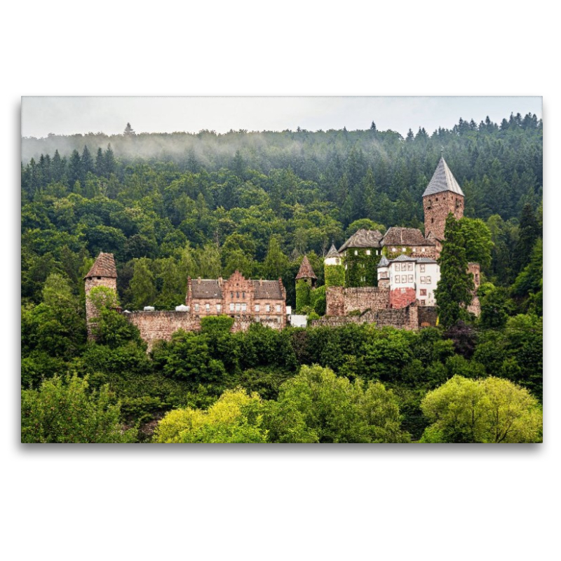 Burg Zwingenberg
