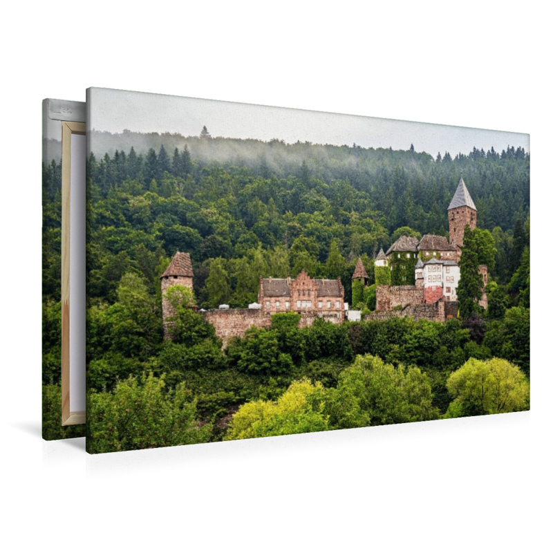 Burg Zwingenberg