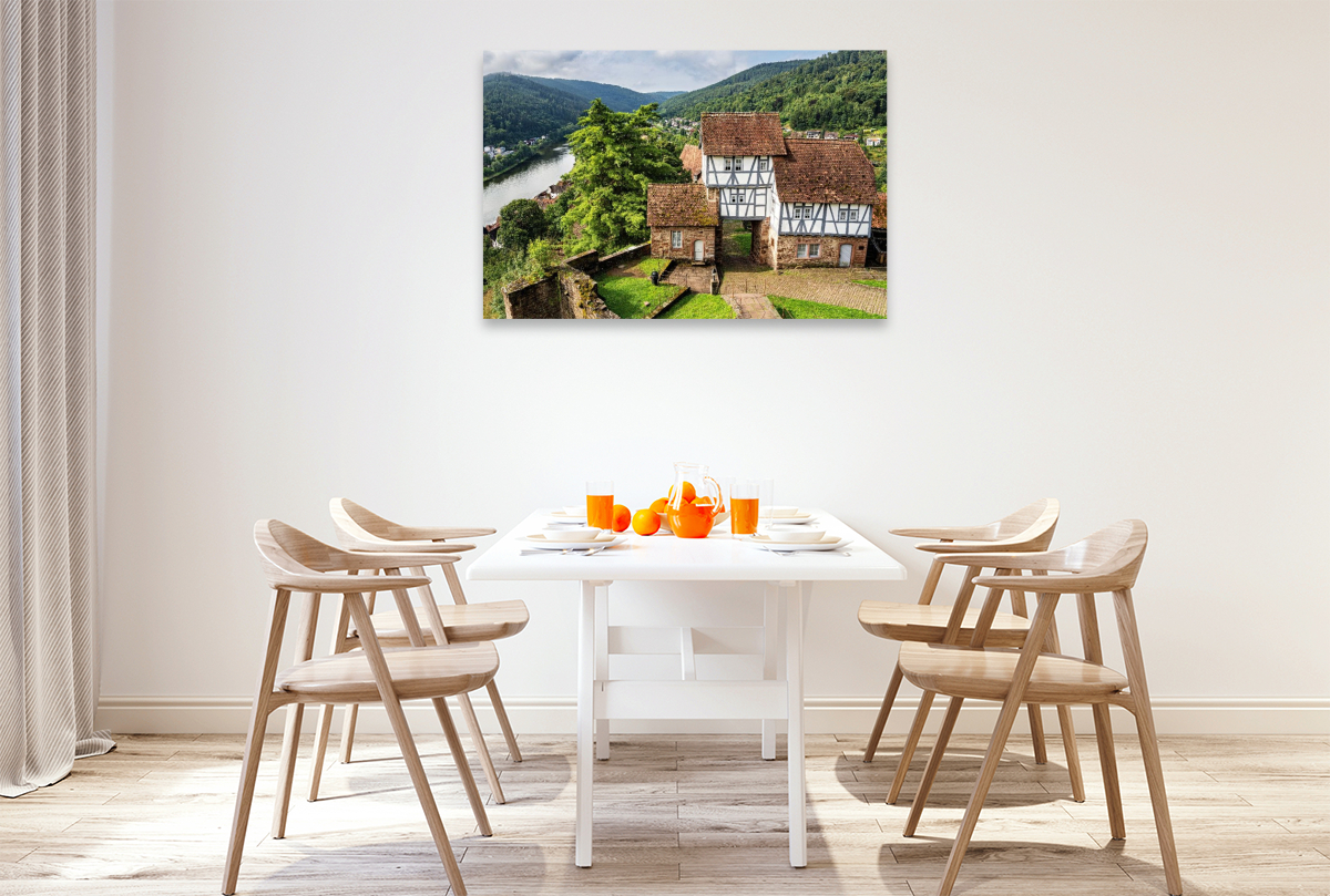 Blick vom Schloss Hirschhorn auf das Neckartal