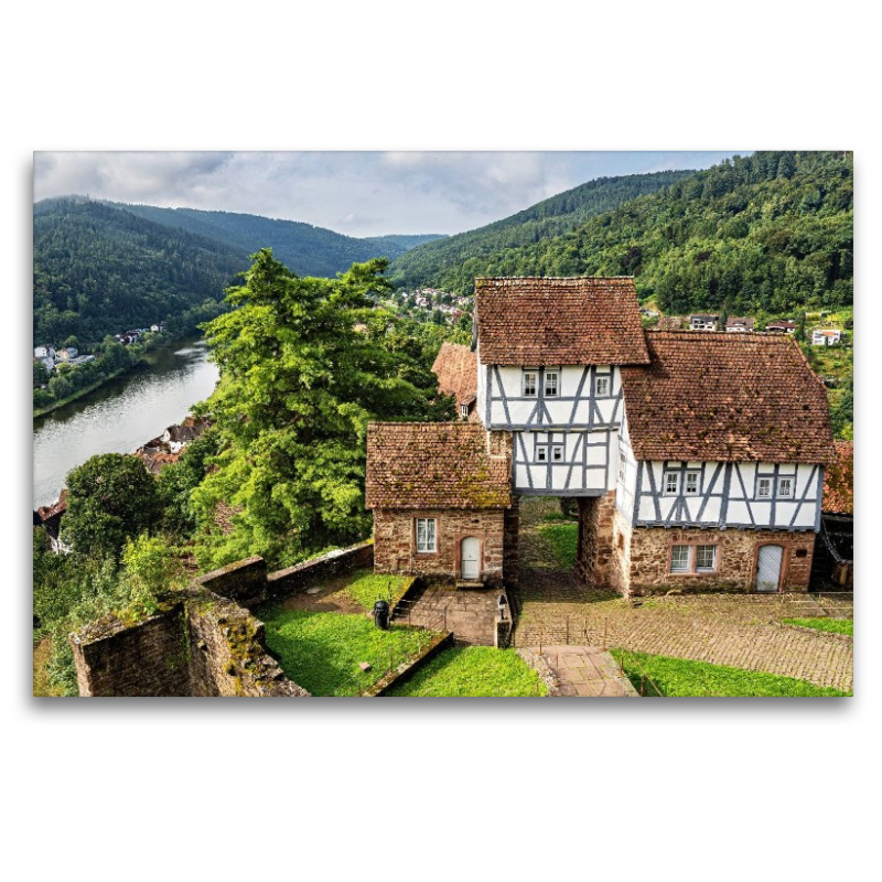 Blick vom Schloss Hirschhorn auf das Neckartal