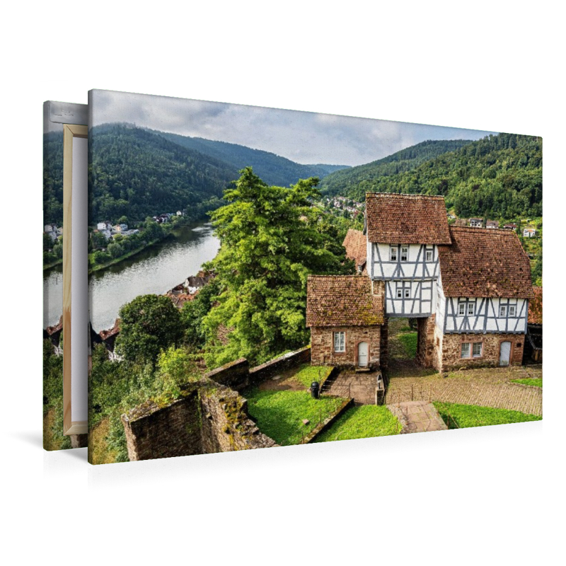 Blick vom Schloss Hirschhorn auf das Neckartal