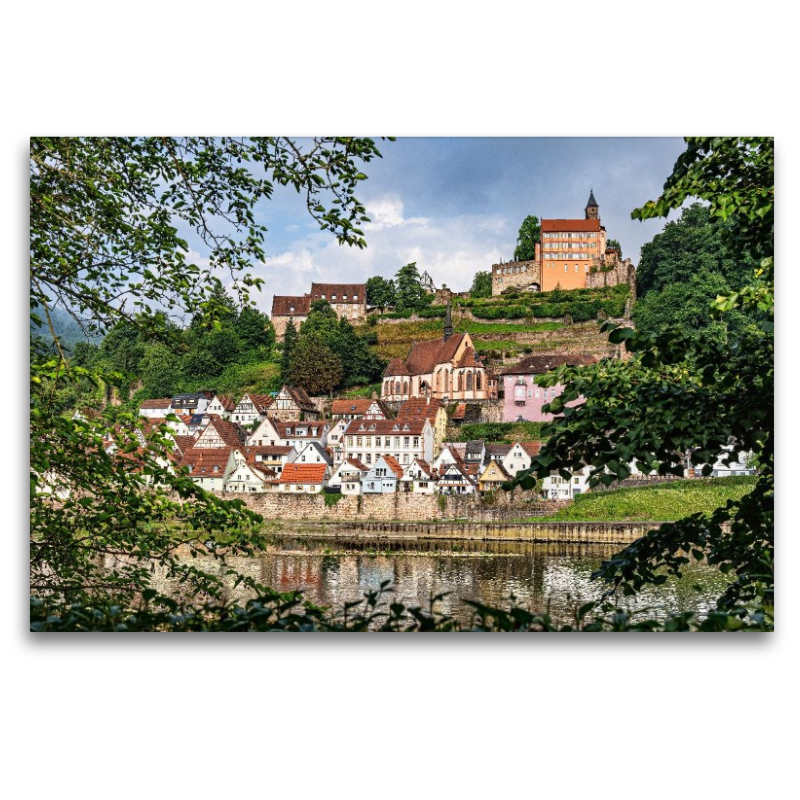 Blick auf Hirschhorn