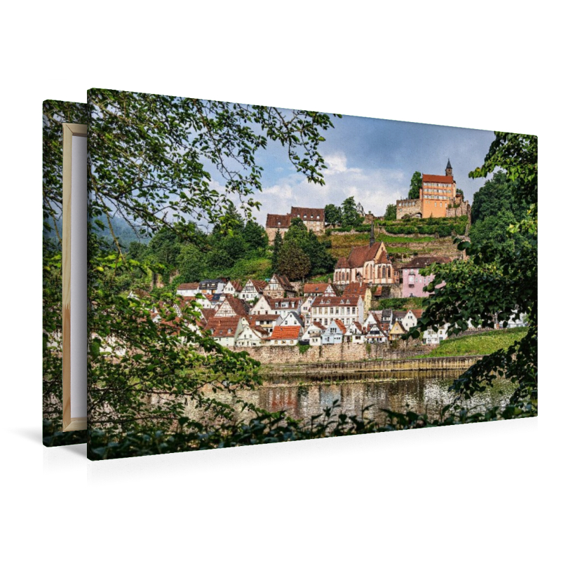 Blick auf Hirschhorn