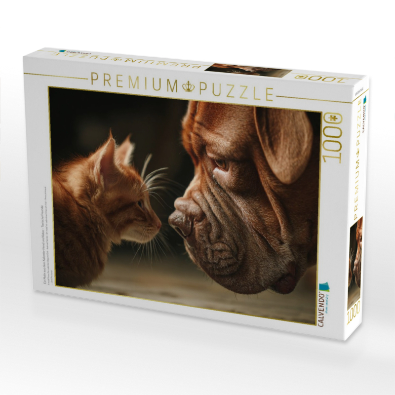 Ein Motiv aus dem Kalender Hund und Katze - Tierische Freunde