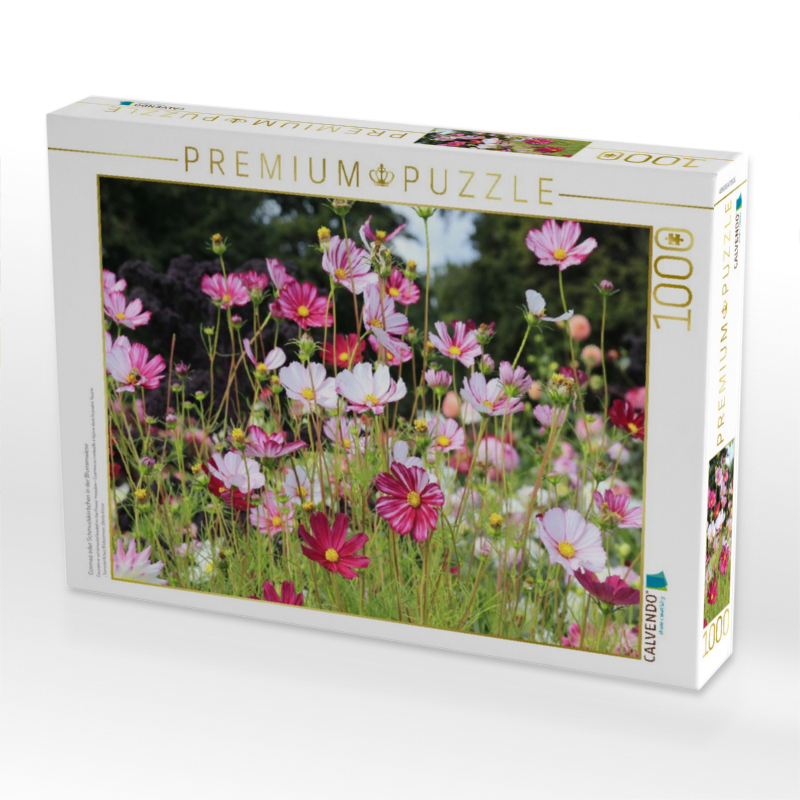 Cosmea oder Schmuckkörbchen in der Blumenwiese