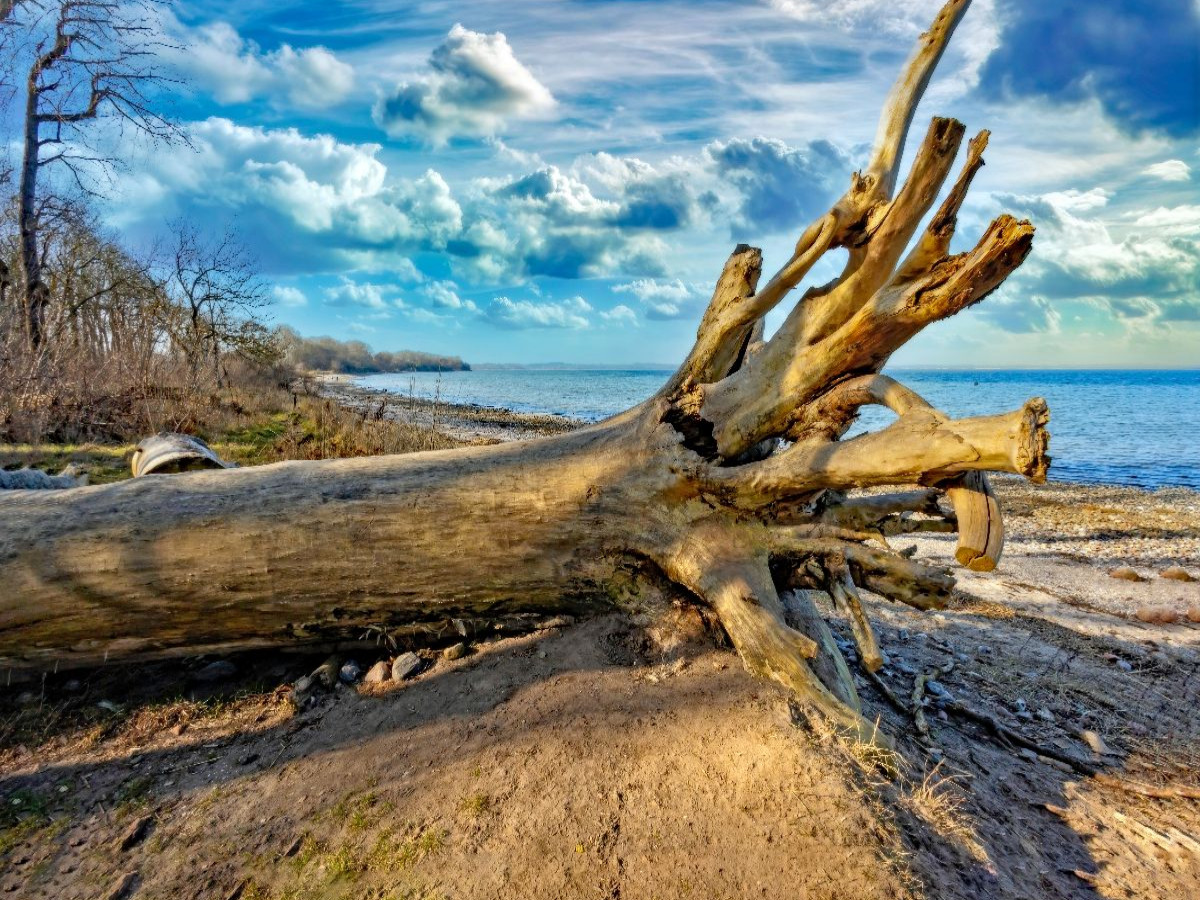Novemberstimmung am Ostseestrand von Beckerwitz