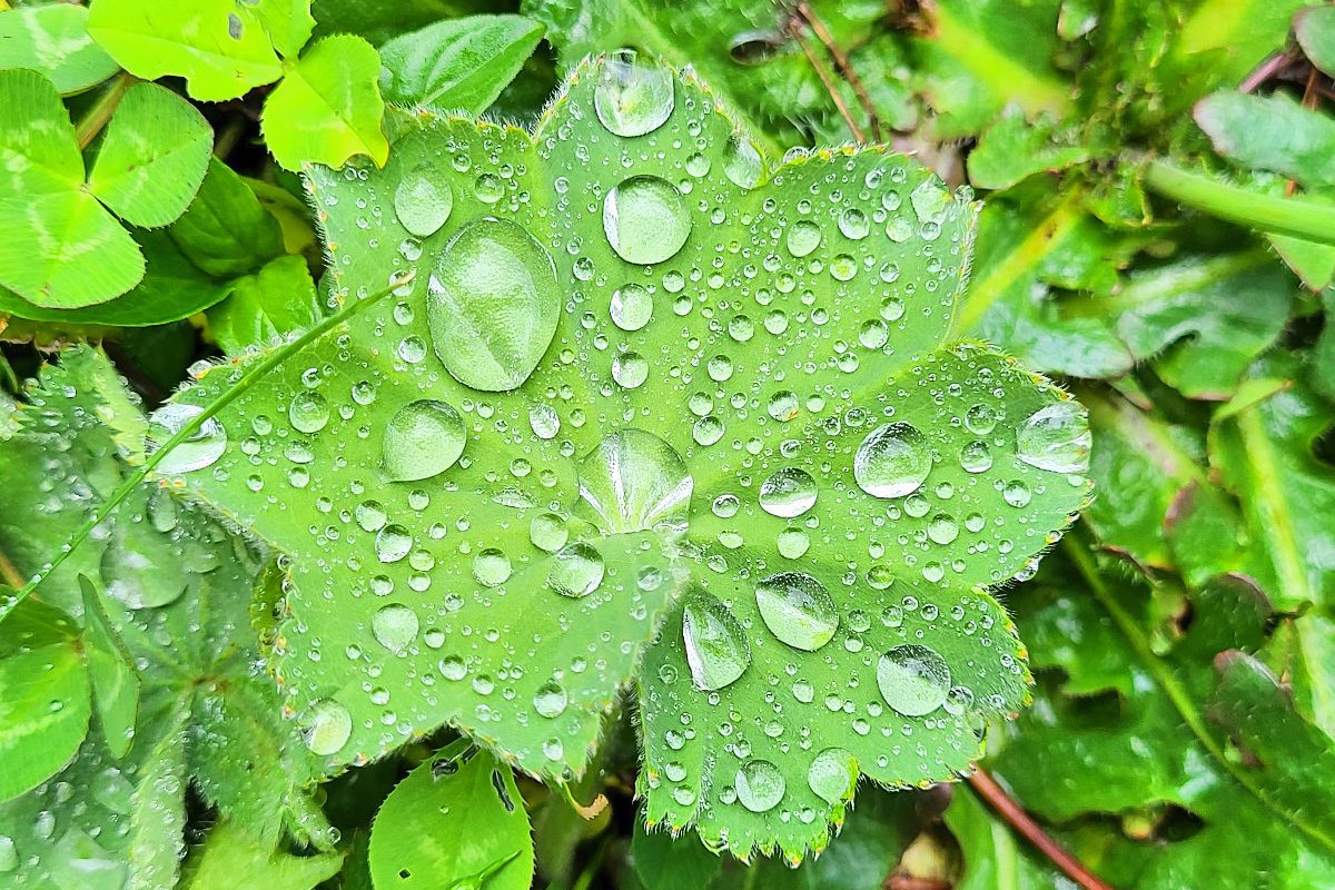 Innehalten im Kleinen