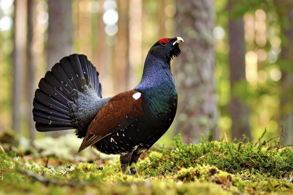 Lerne von der Geschwindigkeit der Natur.