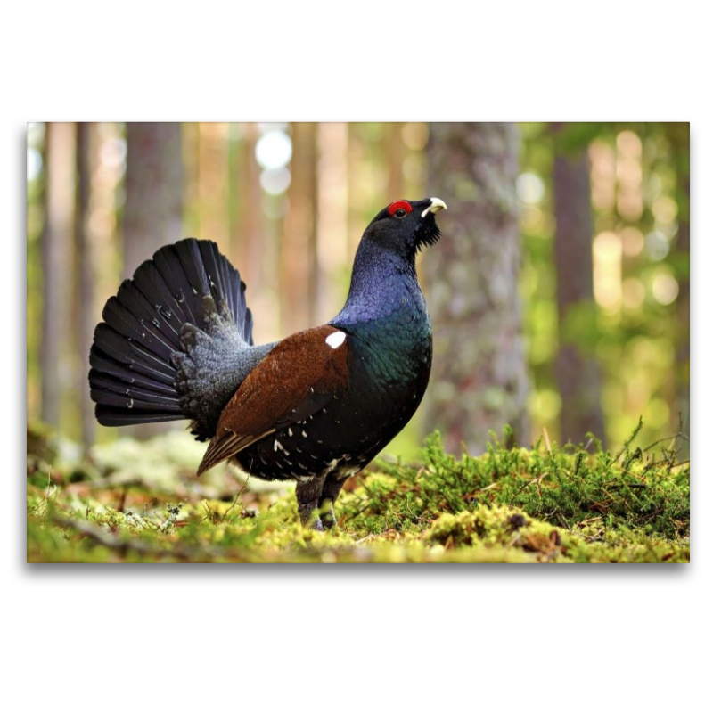 Lerne von der Geschwindigkeit der Natur.