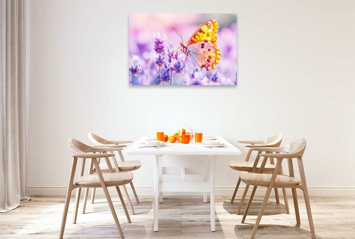 Schmetterling auf Lavendelblüten im Gegenlicht