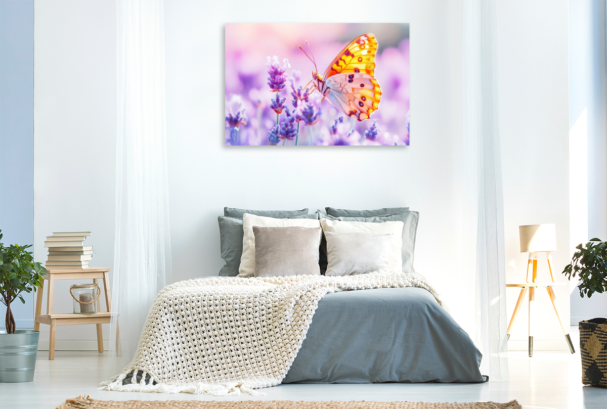 Schmetterling auf Lavendelblüten im Gegenlicht