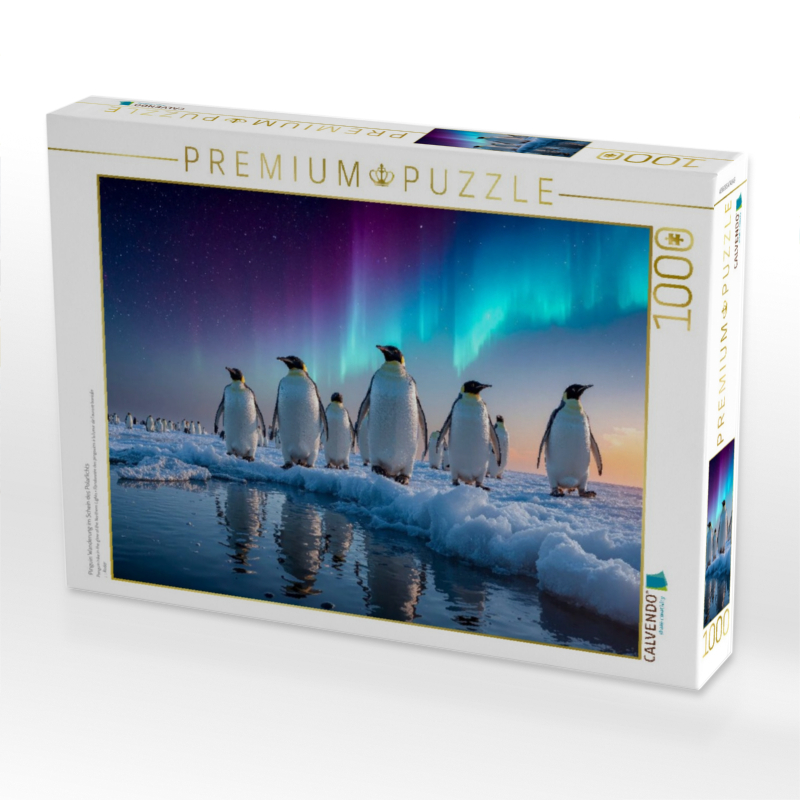 Pinguin Wanderung im Schein des Polarlichts