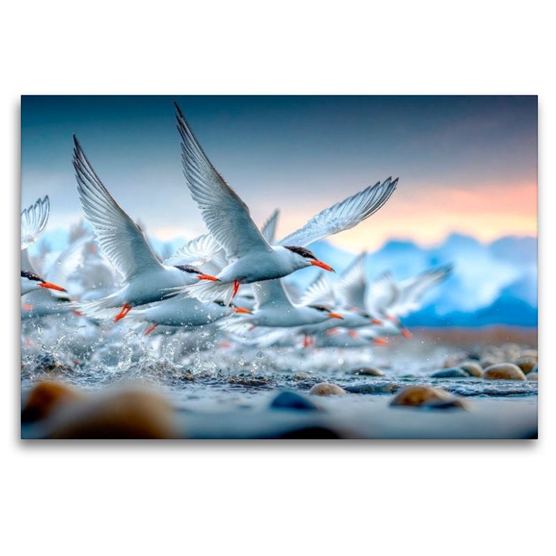 Flug an die Küste