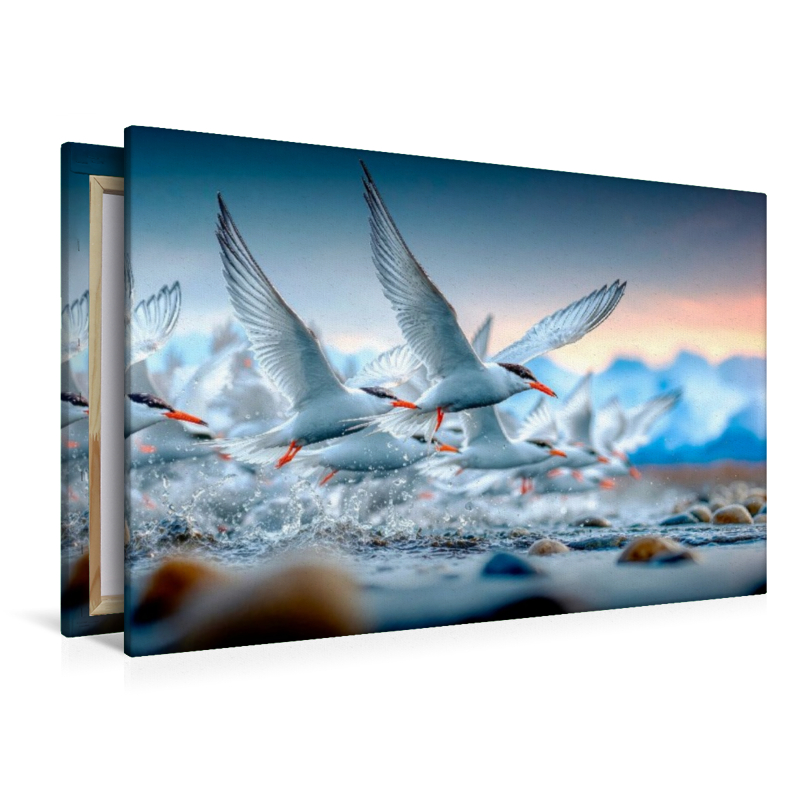 Flug an die Küste