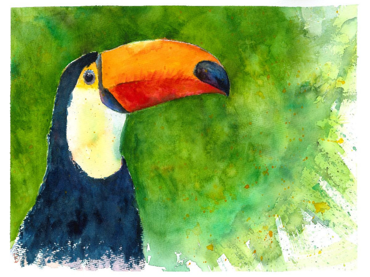 Aquarell Tukan